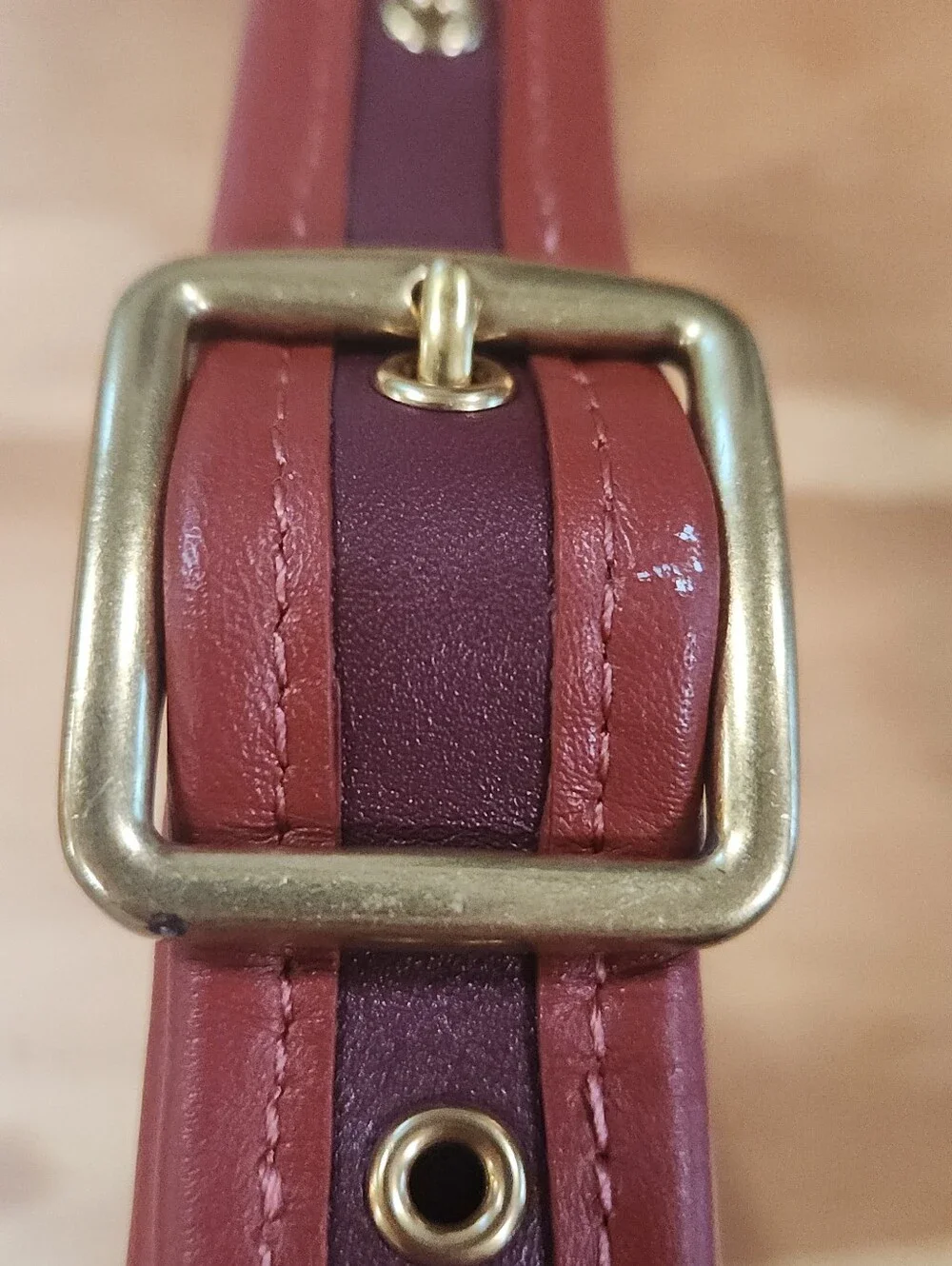 Coach Ergo In Colorblock - Picture 10 of 14